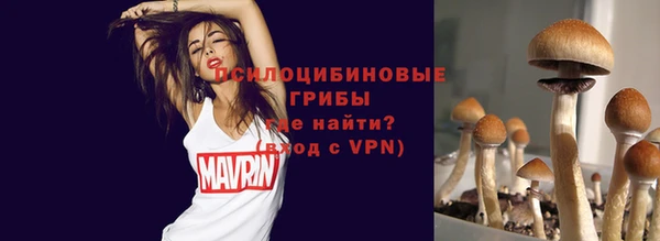 герыч Алексин