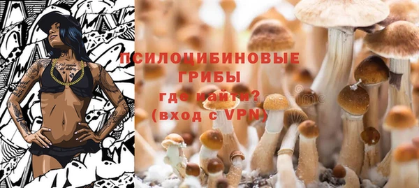 герыч Алексин