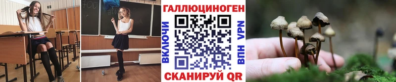 Псилоцибиновые грибы мицелий Сосновоборск