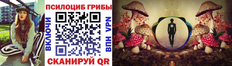 что такое   Сосновоборск  blacksprut ССЫЛКА  Псилоцибиновые грибы Psilocybine cubensis 