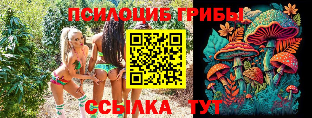 Псилоцибиновые грибы прущие грибы Сосновоборск