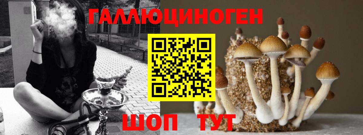 Псилоцибиновые грибы Psilocybe  Вход с VPN  Сосновоборск 
