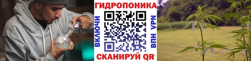Марихуана марихуана  Сосновоборск 